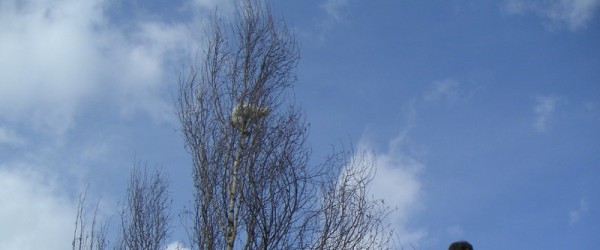 pict0038-600x250-crop-40-29.jpg